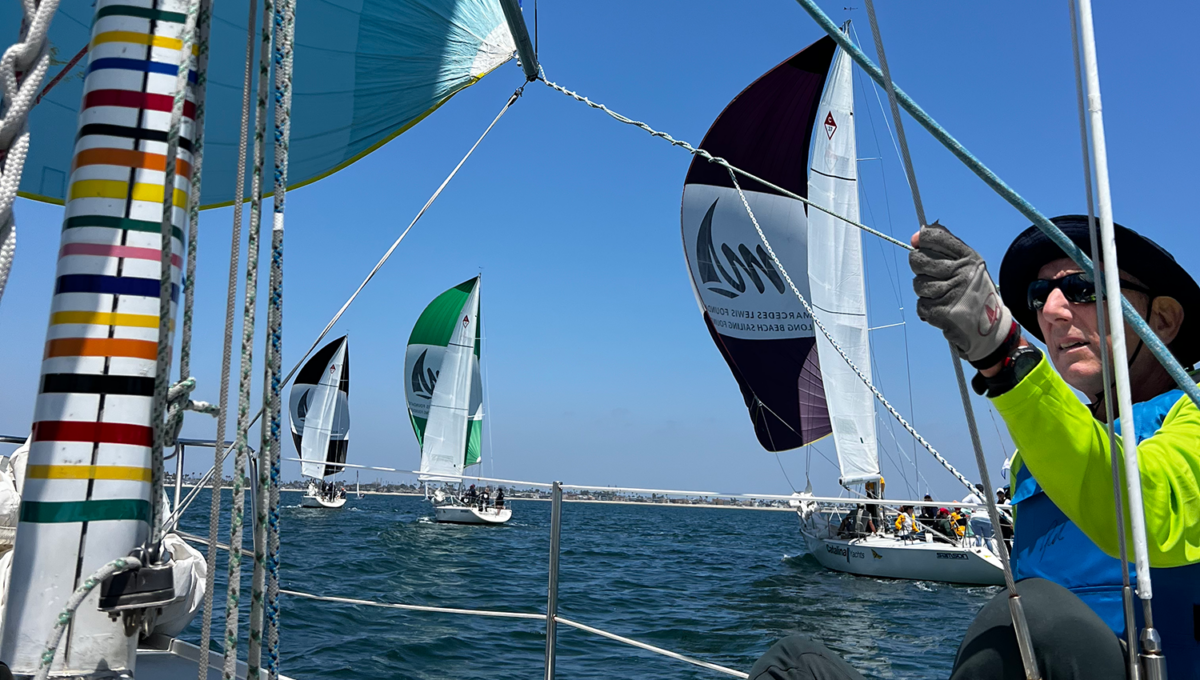 sailboats sailing downwind
