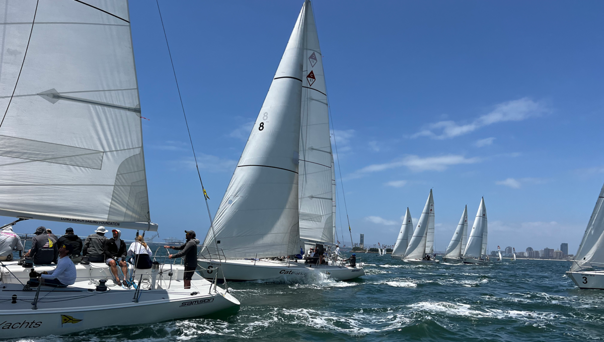 sailboats on the starting line