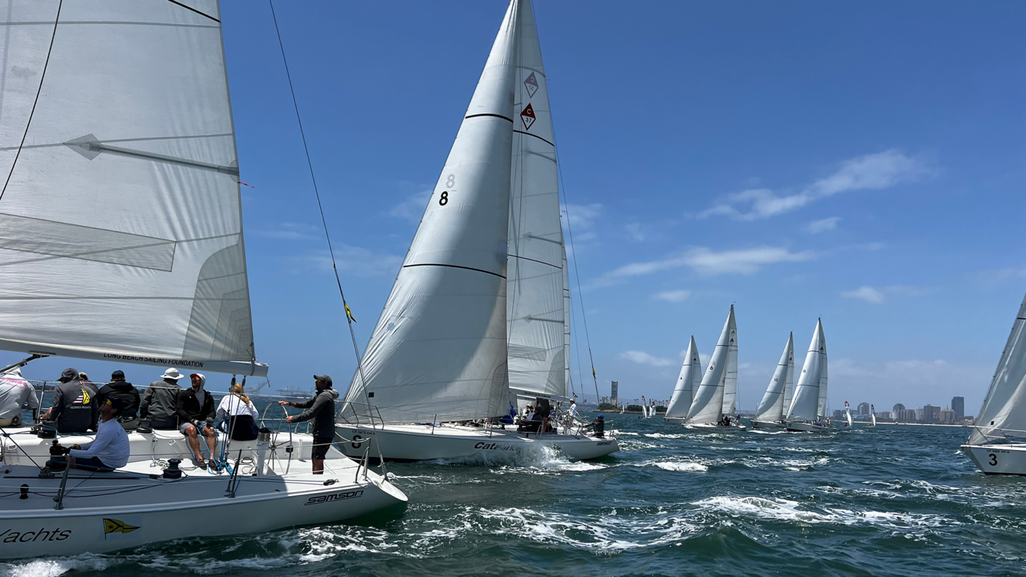sailboats on the starting line